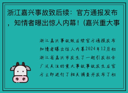 浙江嘉兴事故致后续：官方通报发布，知情者曝出惊人内幕！(嘉兴重大事故)